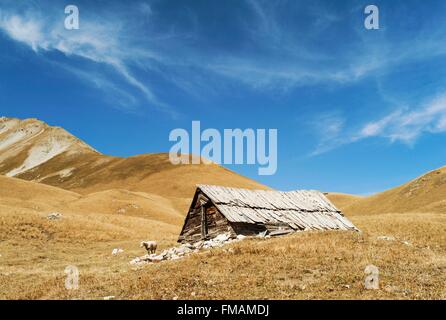 France, Hautes Alpes, vallée de l'Ayes, Villar Saint Pancrace, Orciere chalet Banque D'Images