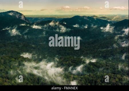 France, Guyana, Guyane Française, Parc amazonien zone cœur, le soir, le brouillard dans la forêt amazonienne Banque D'Images