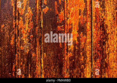 Orange Jaune texture bois flétris. Banque D'Images