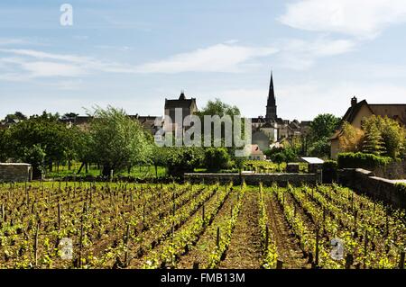 France, Côte d'Or, Meursault, la route touristique des Grands Crus de Bourgogne, climats, terroirs de Bourgogne classé au Banque D'Images