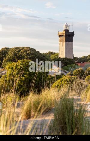 La France, Gard, Le Grau du Roi, la conservation des dunes de l'Espiguette, unique sur la côte méditerranéenne française Banque D'Images