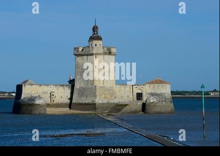 En France, en Charente Maritime, Bourcefranc le Chapus, le fort Louvois ou Fort Chapus Banque D'Images