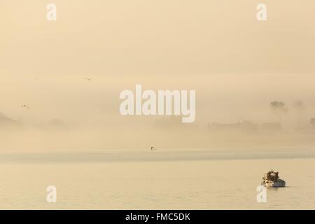 La France, Finistère, Douarnenez, petit bateau de pêche côtière dans le brouillard à l'aube Banque D'Images