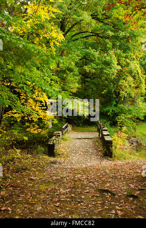 Pont de pierre sur le sentier naturel à travers les bois au parc d'État de Chenango Valley à Chenango Forks Southern Tier Region Upstate New York, États-Unis. Banque D'Images