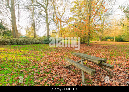 Voyageant dans le parc de Hotham, Bognor Regis, Royaume-Uni autour de matin Banque D'Images