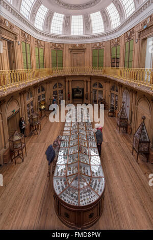 Portrait du premier étage, dans la salle ovale du Musée Teyler, Haarlem, Hollande du Nord, aux Pays-Bas. Banque D'Images