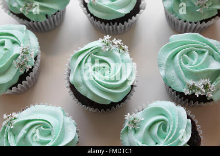 Cupcake au chocolat maison avec glaçage rose turquoise Banque D'Images