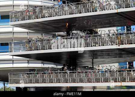 Parking à vélos près de la Gare Centrale d'Amsterdam, Pays-Bas Banque D'Images