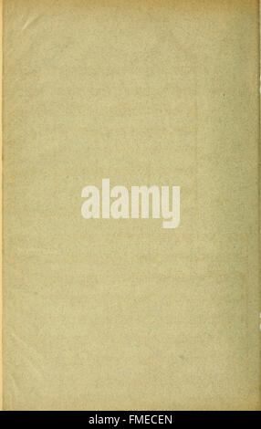 Morceau de concert, op. 62, composé en 1880 pour violon avec orchestre ou piano. Cette pièce musicale met en valeur la gamme expressive du violon dans un cadre de concert. Banque D'Images