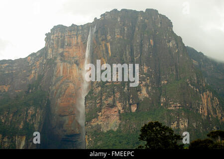 Angel Falls - Venezuela Banque D'Images