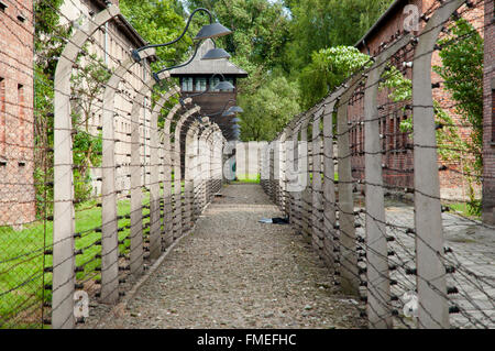 Camp de concentration d'Auschwitz - Pologne Banque D'Images