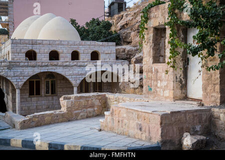 Moïse le printemps à Wadi Musa, Royaume hachémite de Jordanie, Moyen-Orient. Banque D'Images