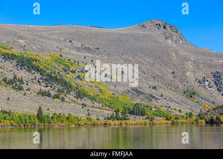 Belle couleur d'automne au lac Juin Boucle, Californie Banque D'Images