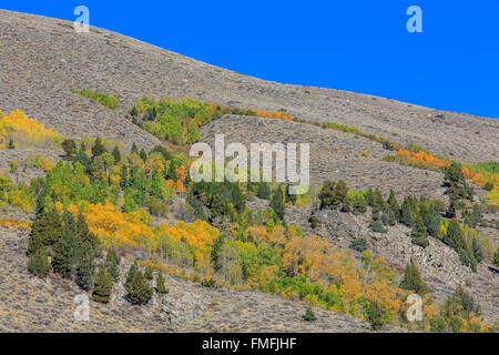 Belle couleur d'automne au lac Juin Boucle, Californie Banque D'Images