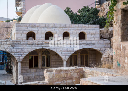 Moïse le printemps à Wadi Musa, Royaume hachémite de Jordanie, Moyen-Orient. Banque D'Images