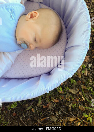 Quatre mois à dormir bébé garçon couché dans la nacelle sur la surface de la forêt. Vue aérienne Banque D'Images