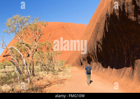 Homme randonnée à Uluru (Site du patrimoine mondial de l'UNESCO), Parc National d'Uluru-Kata Tjuta, Territoire du Nord, Australie (MR) Banque D'Images