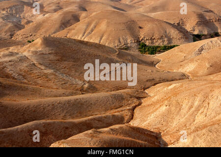 Paysage montagneux du désert de Judée près de Jéricho, Israël Banque D'Images