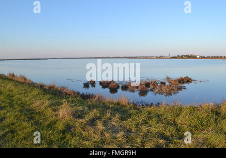 Réflexion sur l'eau au crépuscule, salant El-Mallahet Parc Naturel de Cervia, Ravenne, Italie Banque D'Images