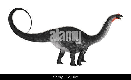 Le rendu numérique d'un dinosaure Apatosaurus isolé sur fond blanc Banque D'Images
