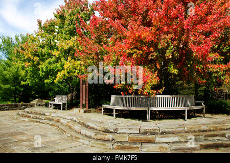 Banc de parc vide sans personne sous les arbres d'automne à Cornell Arboretum, région des Finger Lakes, Ithaca Tompkins County centre de New York États-Unis. Banque D'Images