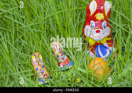 La famille Lapin chocolat avec Œuf de Pâques cachés dans la grande herbe verte libre Banque D'Images