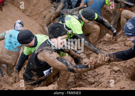 Bischofsheim, Allemagne. Mar 12, 2016. Les participants de la course extrême bataille Braveheart ramper dans une boue à Bischofsheim, Allemagne, 12 mars 2016. Près de 2 700 coureurs ont à gérer un 30 km avec 45 obstacles. Le extremerun mène à travers de l'eau très froide, la boue des fosses et feu chaud d'obstacles. Il est dit être l'un des plus difficiles en Europe. PHOTO : DANIEL KARMANN/dpa/Alamy Live News Banque D'Images