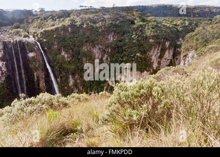 Détail de la parois de canyon Itaimbezinho, Rio Grande do Sul, Brésil Banque D'Images