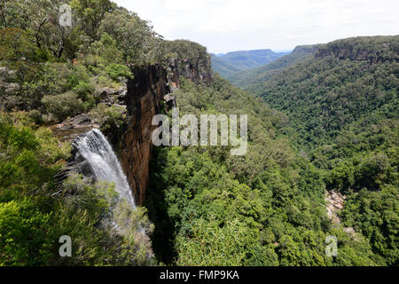 Fitzroy Falls, Morton National Park, New South Wales, Australie Banque D'Images