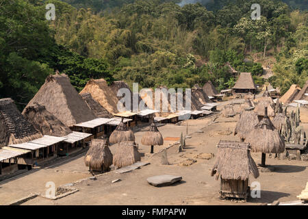 Place du Village avec des sanctuaires et maisons en toit de chaume traditionnel, village Ngada Bajawa, Bena, l'île de Flores, en Indonésie Banque D'Images