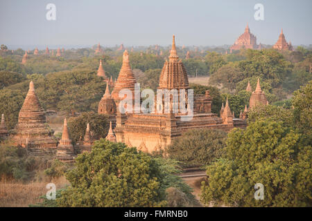 Dans les temples du soleil, Bagan, Myanmar Banque D'Images