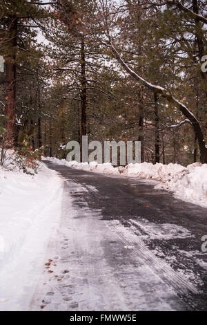 Route à travers le paysage d'hiver Banque D'Images