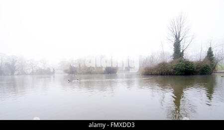 Northampton, Abington Park. Météo. Royaume-uni 13 mars 2016. Un début de dimanche matin brumeux Abington Park avec brume matinale sur le lac donnant des reflets dans l'eau calme. Credit : Keith J Smith./Alamy Live News Banque D'Images