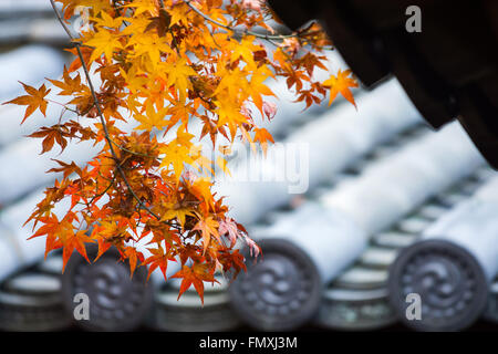 Saison d'automne au temple Tōfuku-ji, Japon Banque D'Images