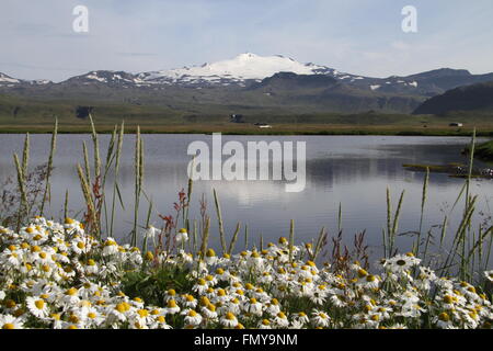 (1446m) de snæfellsjökull depuis le village de RIF dans le Parc National de Snæfellsjökull, dans l'ouest de l'Islande Banque D'Images