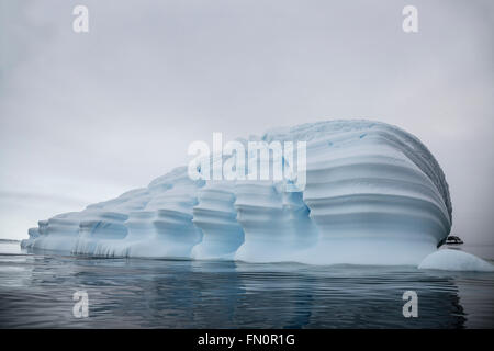 L'antarctique, péninsule Antarctique, l'Île Detaille, grand iceberg bleu Banque D'Images