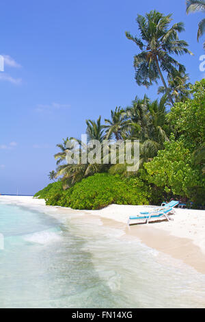 L'île des Maldives. Paradis dans tropiques. Banque D'Images