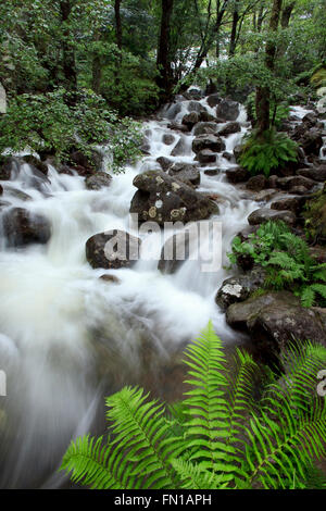 La cascade au pied de l'Allt Coire Eoghainn transporte l'eau dans Glen Nevis les pistes du Ben Nevis lui-même Banque D'Images