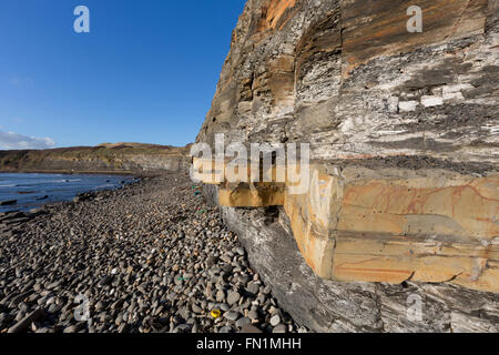 Géologie falaise de Kimmeridge Bay ; ; ; Dorset UK Banque D'Images