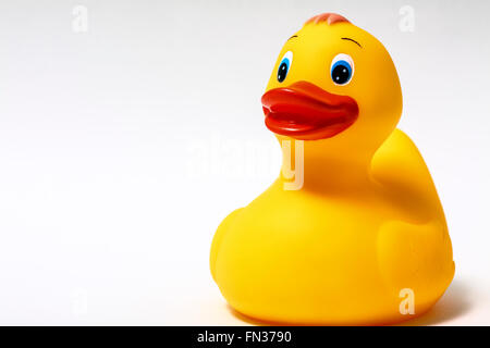 Canard en plastique jaune isolé sur fond blanc Banque D'Images