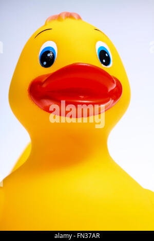 Canard en plastique jaune isolé sur fond blanc Banque D'Images