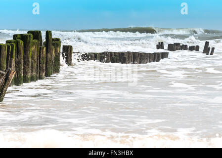 Les vagues se briser contre les pieux en bois à Bergen, sur la mer, les Pays-Bas Banque D'Images