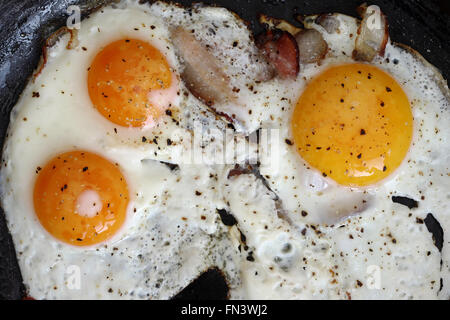 Oeufs au plat avec du bacon sur le pan - un copieux petit-déjeuner Banque D'Images