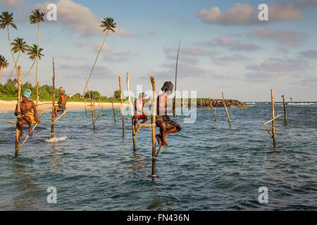 Échasses du Sri Lanka Sri Lanka, pêche au coucher du soleil, les pêcheurs sur échasses Koggala Beach, au Sri Lanka, en Asie Banque D'Images