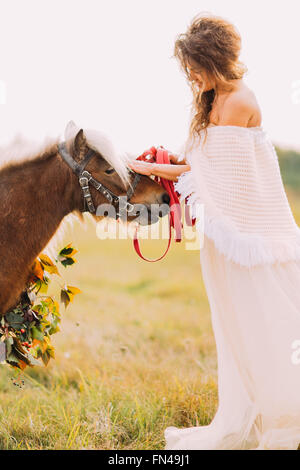 Mariée magnifique petit poney animaux doucement sur le terrain Banque D'Images