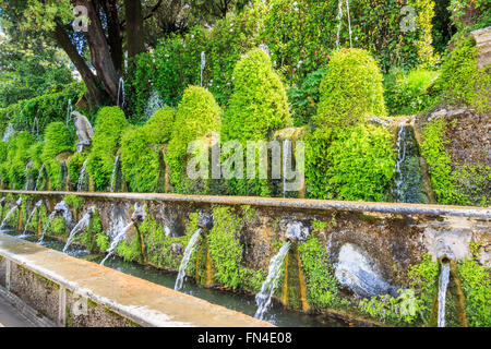 Les centaines de fontaines (Le Cento Fontane) dans les jardins, la Villa d'Este, une villa à Tivoli, près de Rome, Italie Banque D'Images