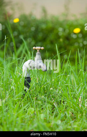 Robinet du jardin d'herbe verte. Pas d'eau. Banque D'Images