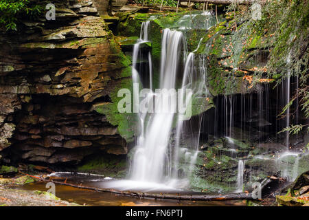 Elakala Falls - Canaan Valley, West Virginia, Balckwater cascade cascades Banque D'Images