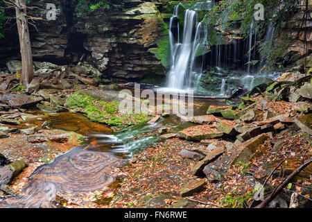 Elakala Falls - Canaan Valley, West Virginia, Balckwater cascade cascades Banque D'Images