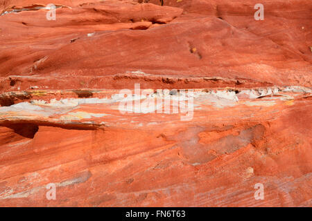 Détails de falaises, Cape Leveque Pindan, péninsule Dampier, région de Kimberley, en Australie occidentale, WA, Australia Banque D'Images